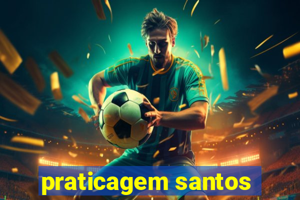 praticagem santos